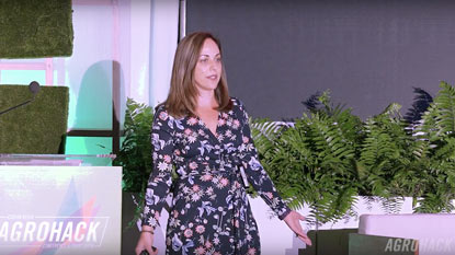 Bringing Innovation to the Backyard
